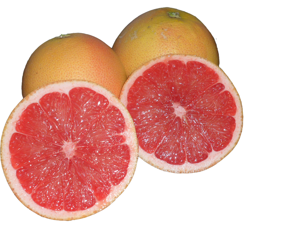 Pink Grapefruit