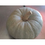 Calabaza Valenciana de 4 a 6 kg.aprox -0