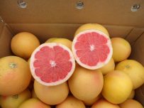 Pomelo Star Ruby 1kg ✔-0