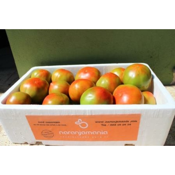 Caja Mixta 19kg de Naranja Zumo (14kg) + Tomate Valenciano (5kg)✔-588