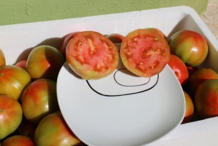 Tomate Tradicional Valenciano 5kg de Tamaño Medio✔-0