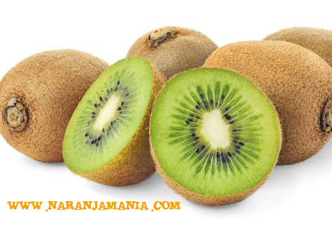 Kiwi hayward 1kg ✔-0