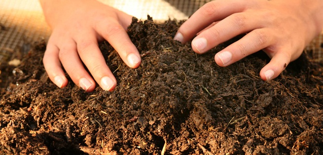 Estiercol preparado para su aplicación