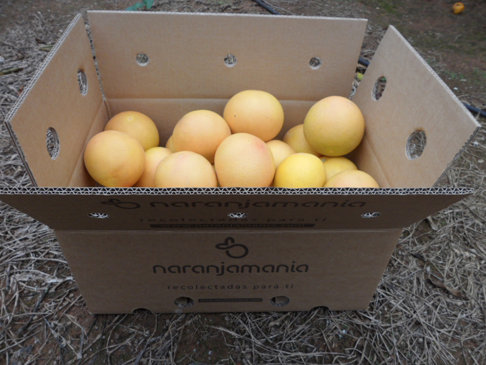 Caja de 14kg Pomelo Star Ruby ✔ -827