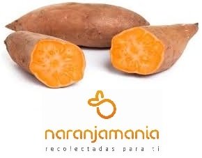 Boniato rojo 1kg ✔-0