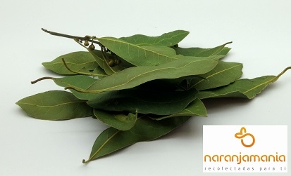 LAUREL SECO 10grms.-912