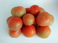 Tomate MINI 1kg ✔-931