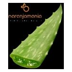 Aloe Vera (hoja) ✔-0