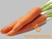 Zanahoria 1kg ✔-0
