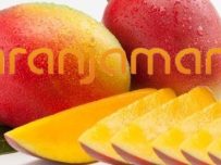 Mango (pieza) ✔-0