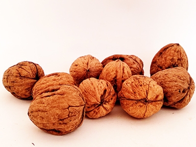 Nueces cascara ESP. 1kg ✔-0