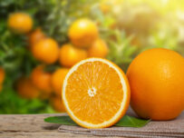 Orange à jus