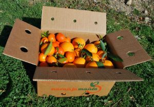 Boîte mixte de 9kg d'orange de table et de mandarine