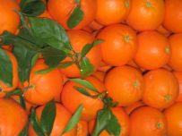 Boîte mixte de 14 kg d'orange de table et de jus d'orange