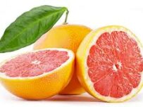 PAMPLEMOUSSES
