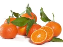 Boîtes de mandarines mixtes