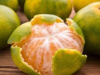Jus de mandarines
